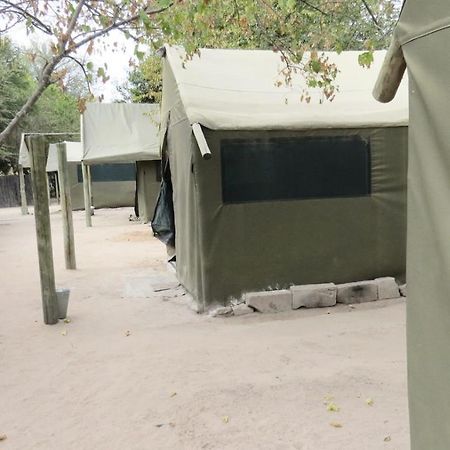 Motsebe Backpackers Hotel Maun Ngoại thất bức ảnh