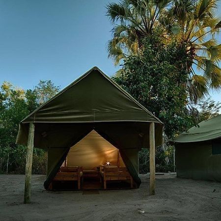 Motsebe Backpackers Hotel Maun Ngoại thất bức ảnh