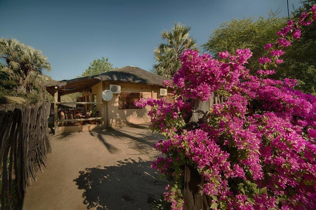 Motsebe Backpackers Hotel Maun Ngoại thất bức ảnh