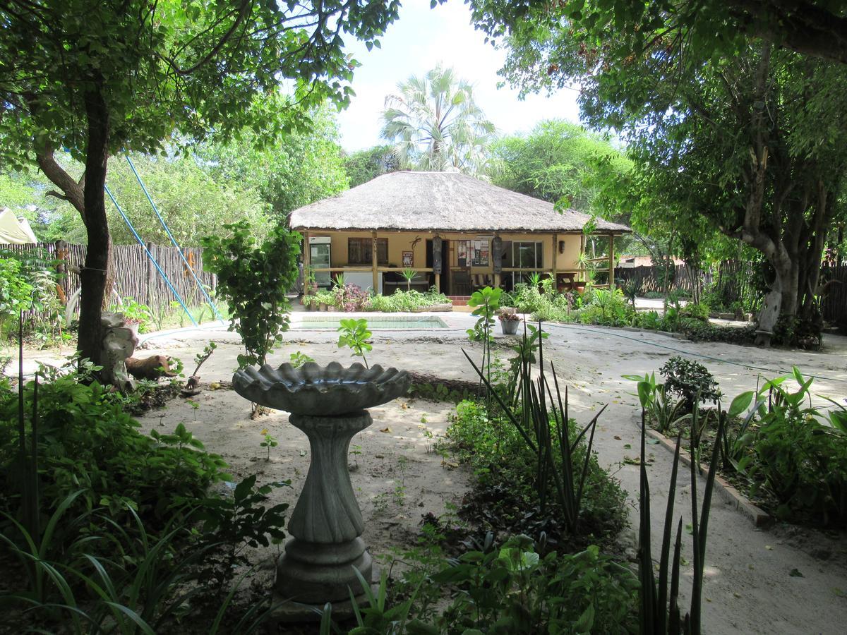 Motsebe Backpackers Hotel Maun Ngoại thất bức ảnh