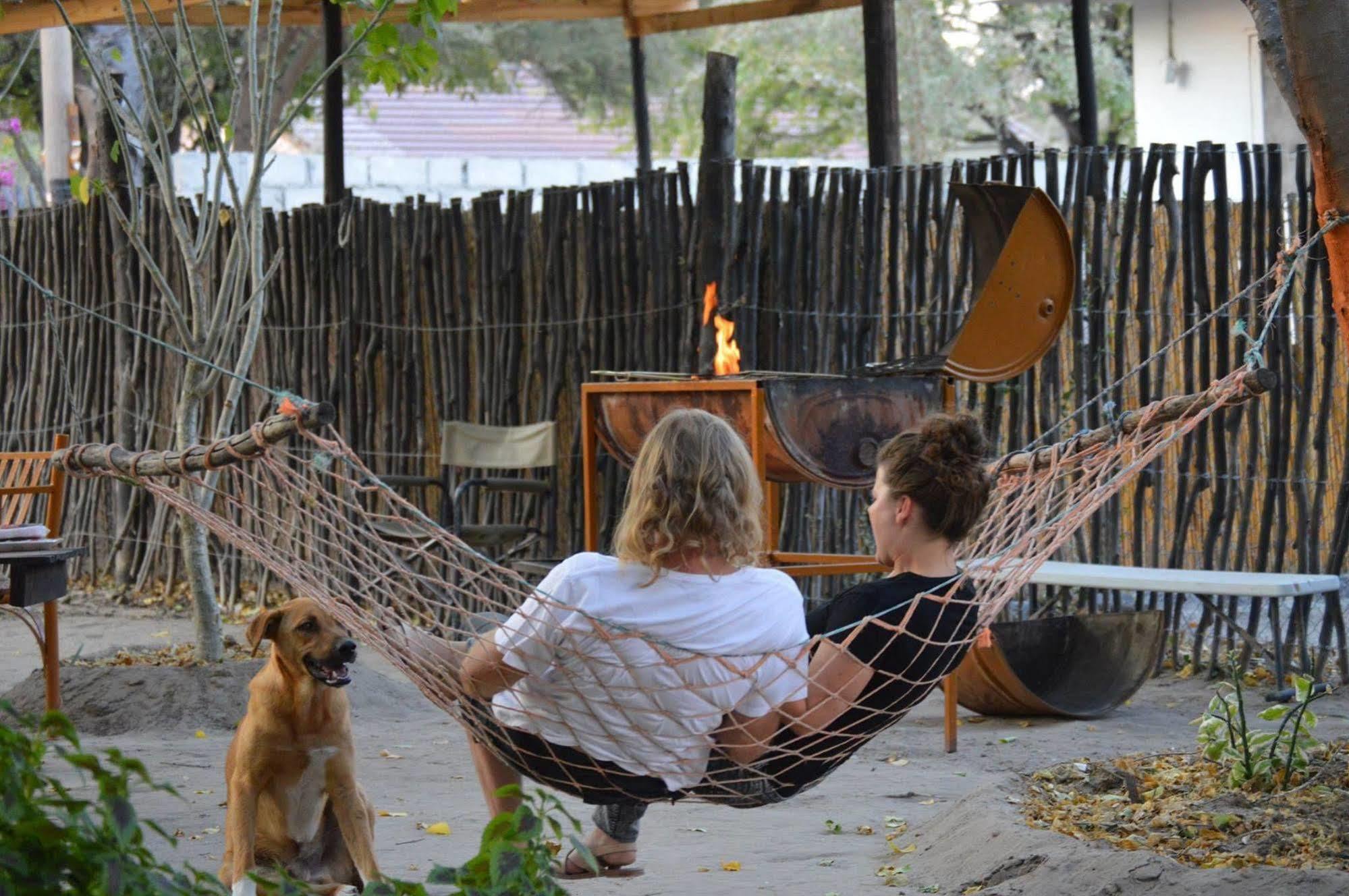 Motsebe Backpackers Hotel Maun Ngoại thất bức ảnh