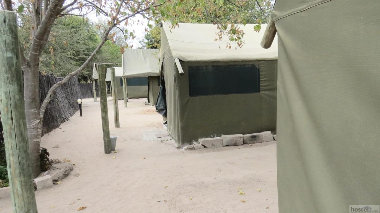 Motsebe Backpackers Hotel Maun Ngoại thất bức ảnh