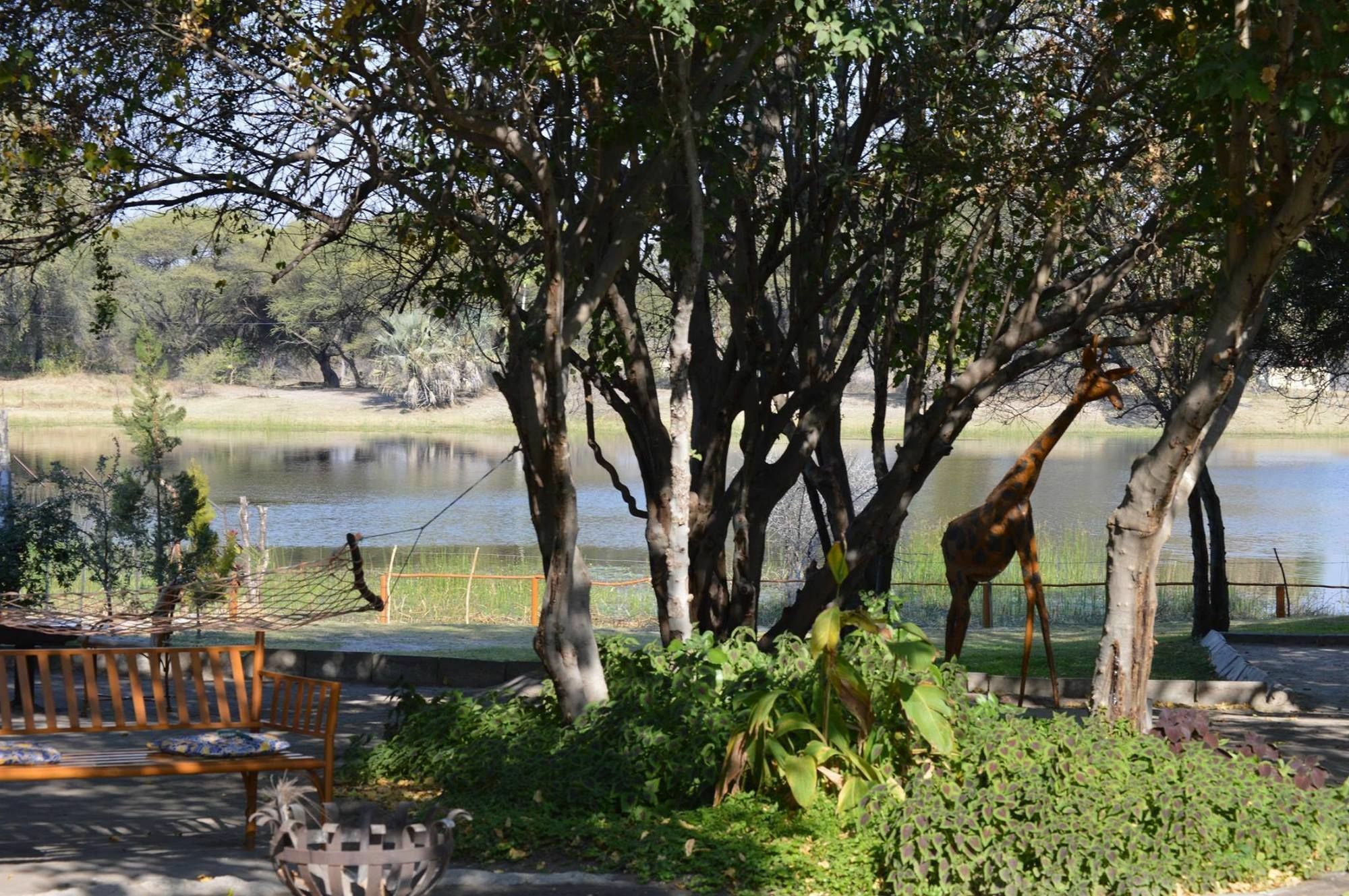 Motsebe Backpackers Hotel Maun Ngoại thất bức ảnh
